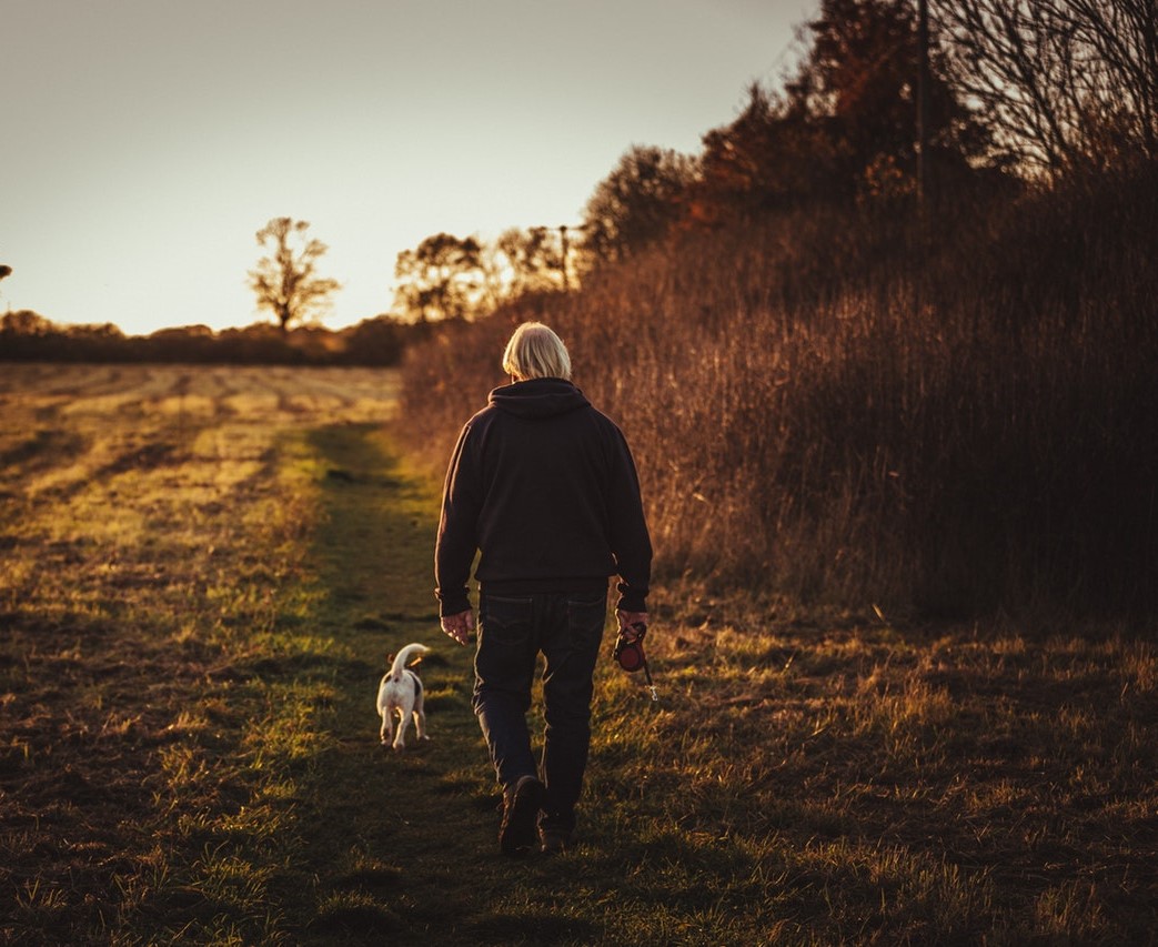 Person walking dog in secluded area