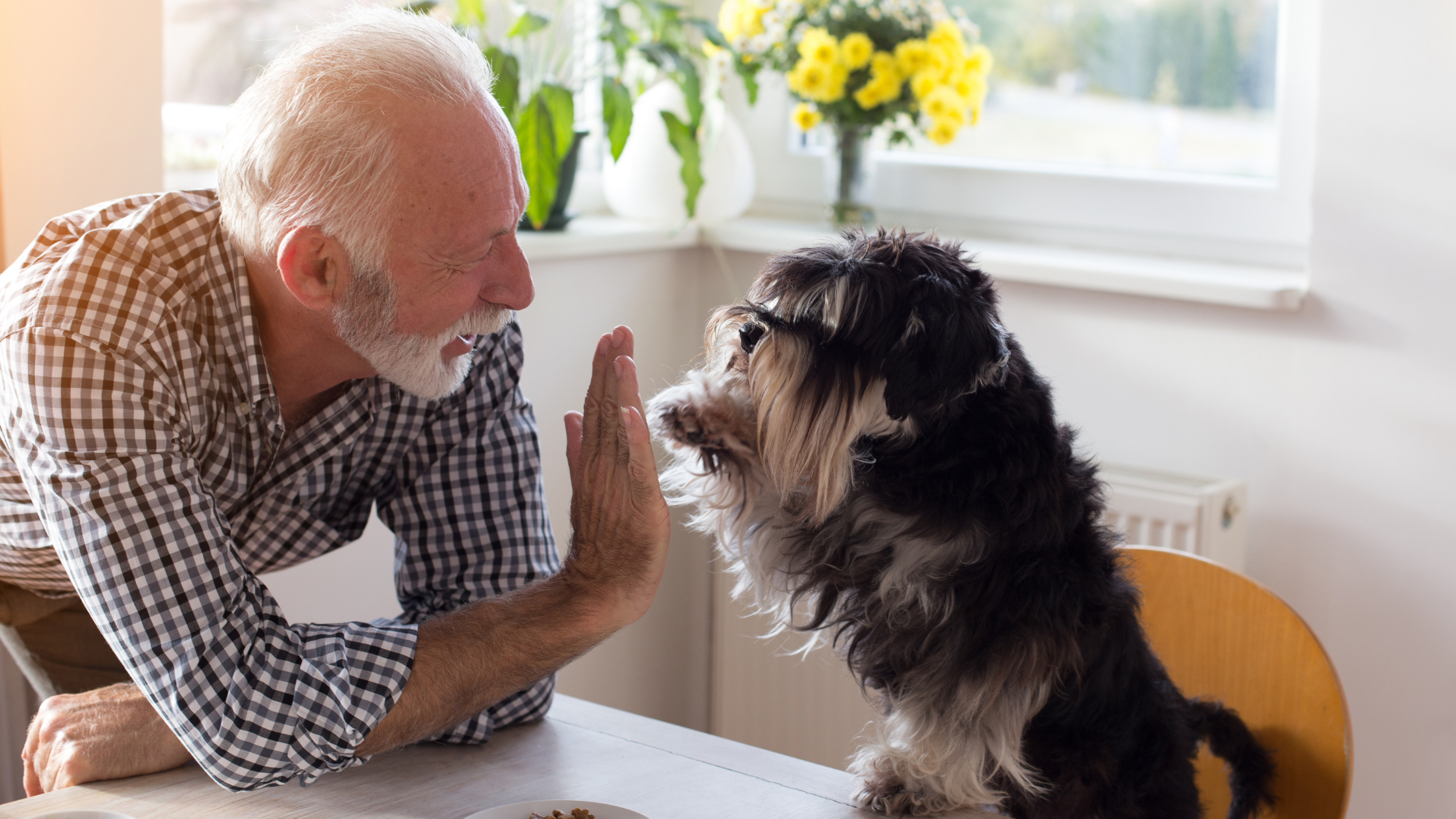 senior man smiles and high-fives a dog