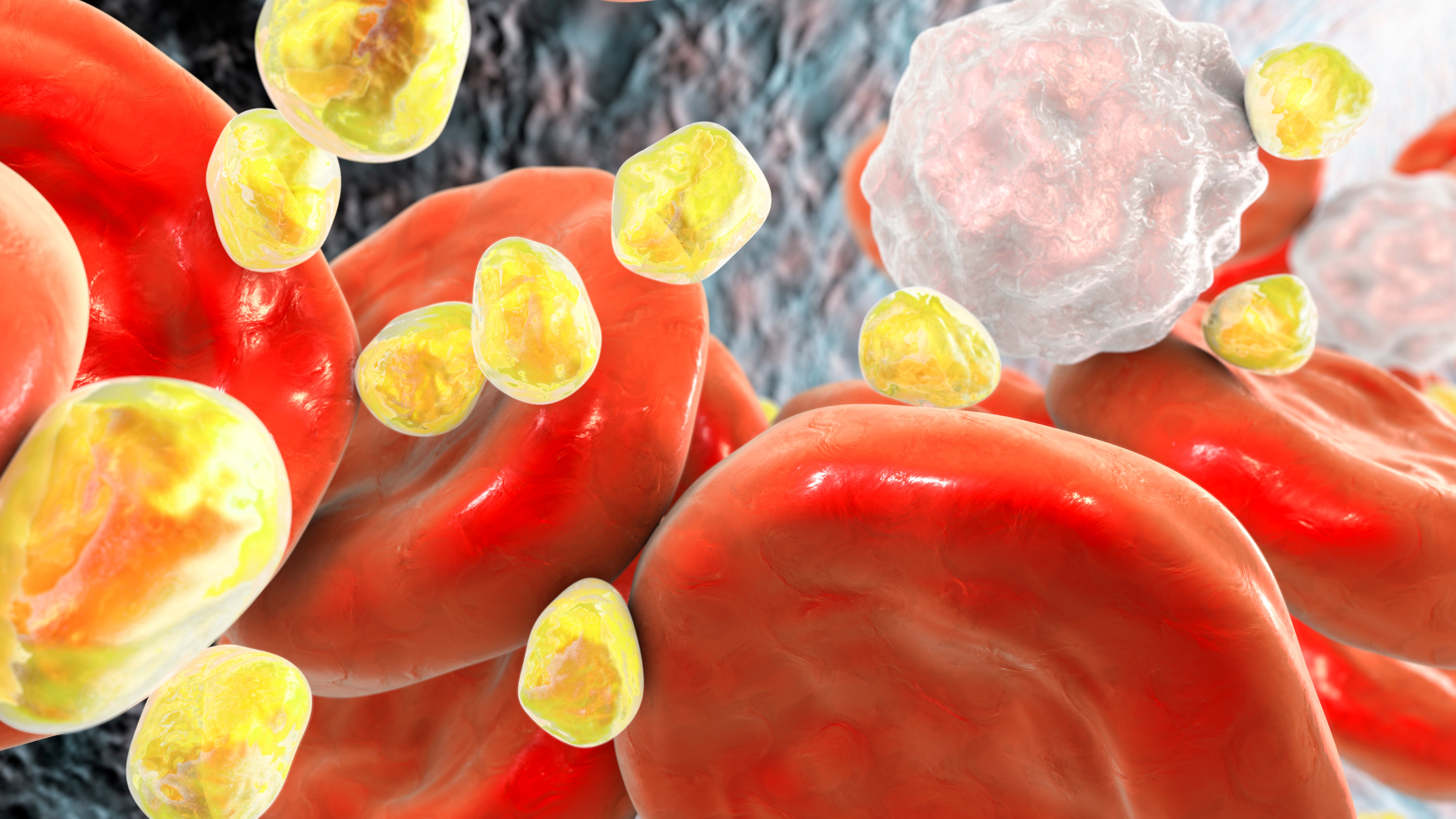 animation of yellow cholesterol platelets in a pink esophagus