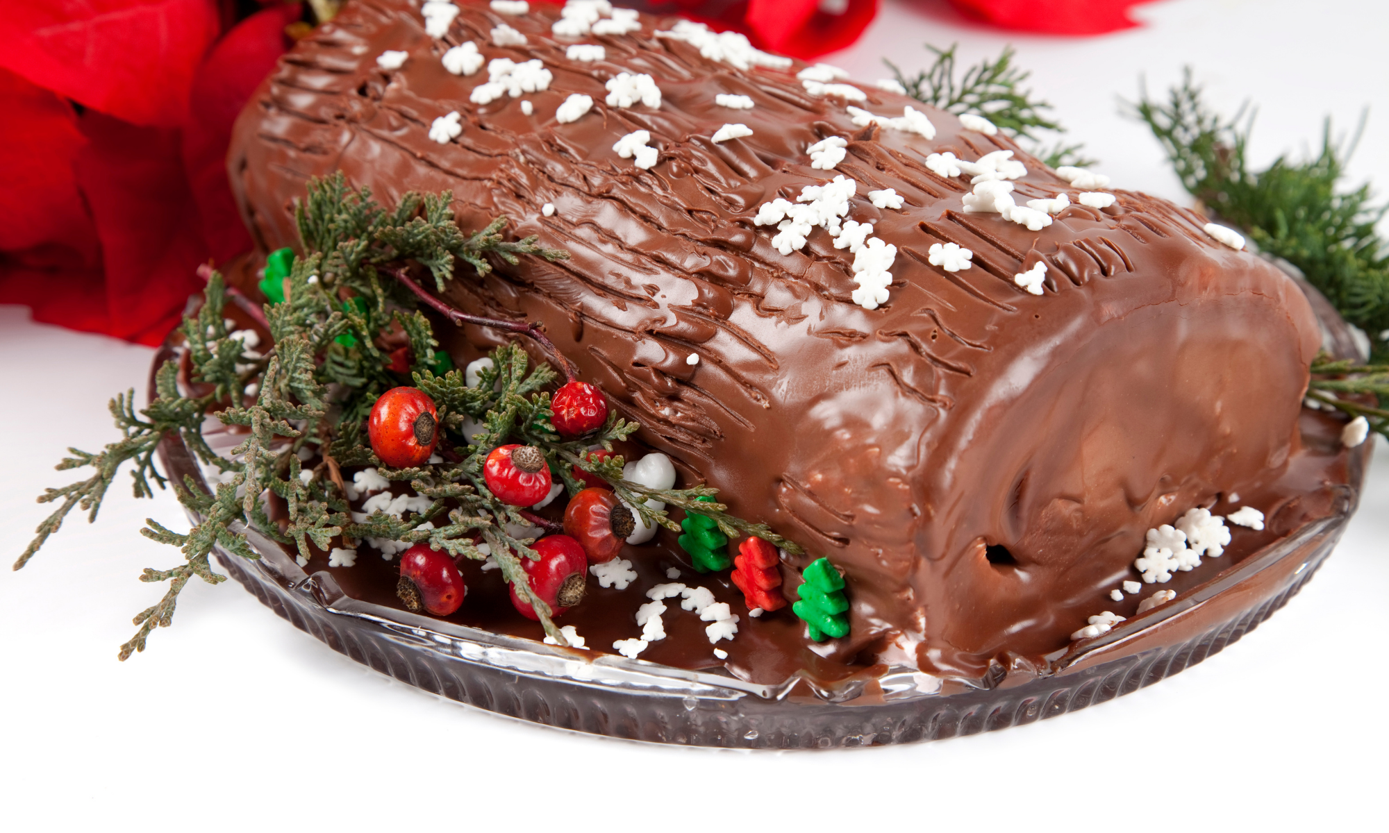 A chocolate yule log with tiny snowflakes and garnish around it