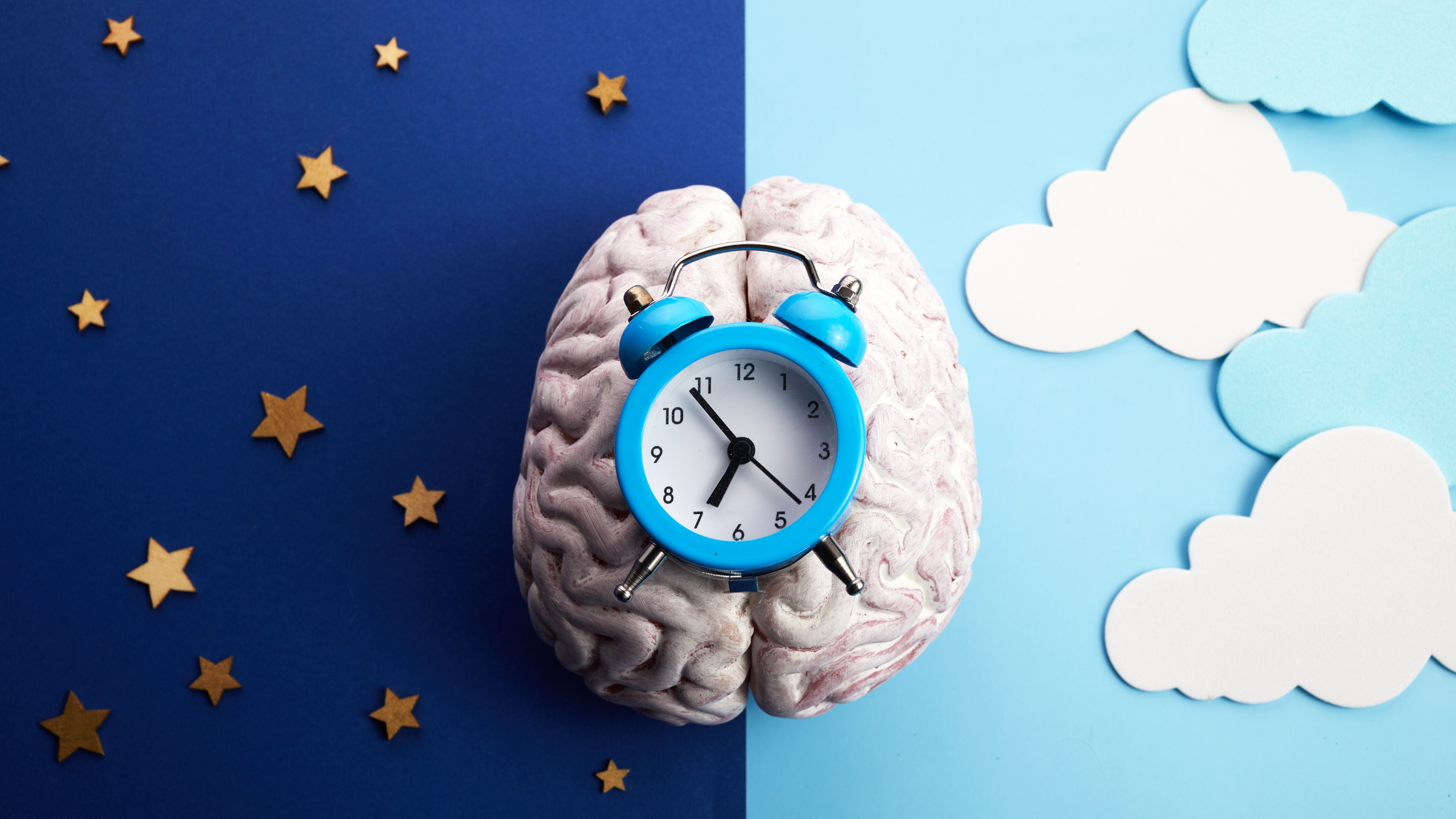 3d model of a human brain sits with one side on a nighttime sky background and the other side on a  daytime sky background for the other side