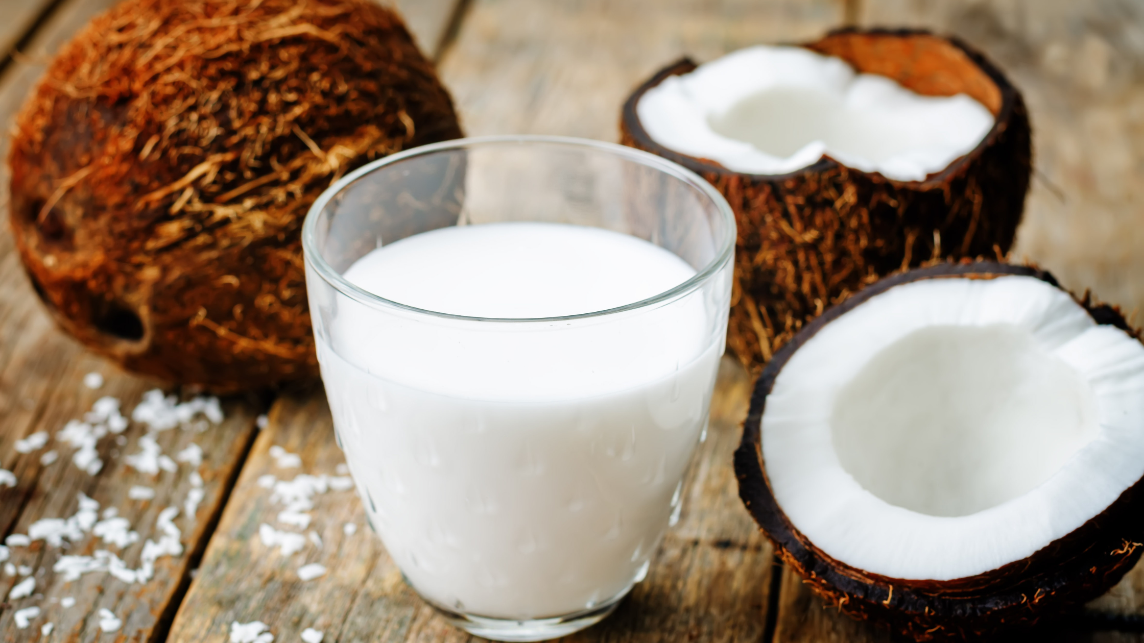 coconut milk improves good cholesterol