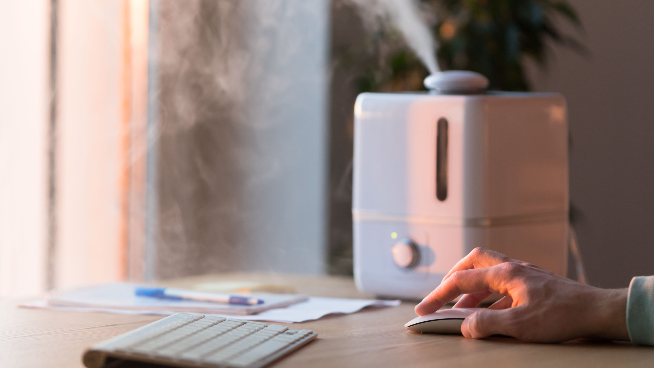 humidifier releases mist into the air