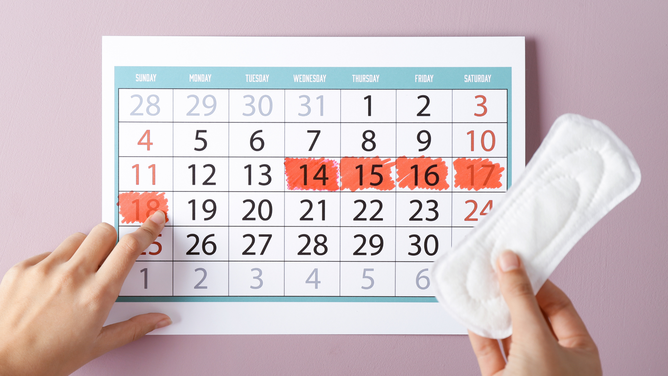 someone holds a pantiliner in front of a monthly calendar with many dates marked in red