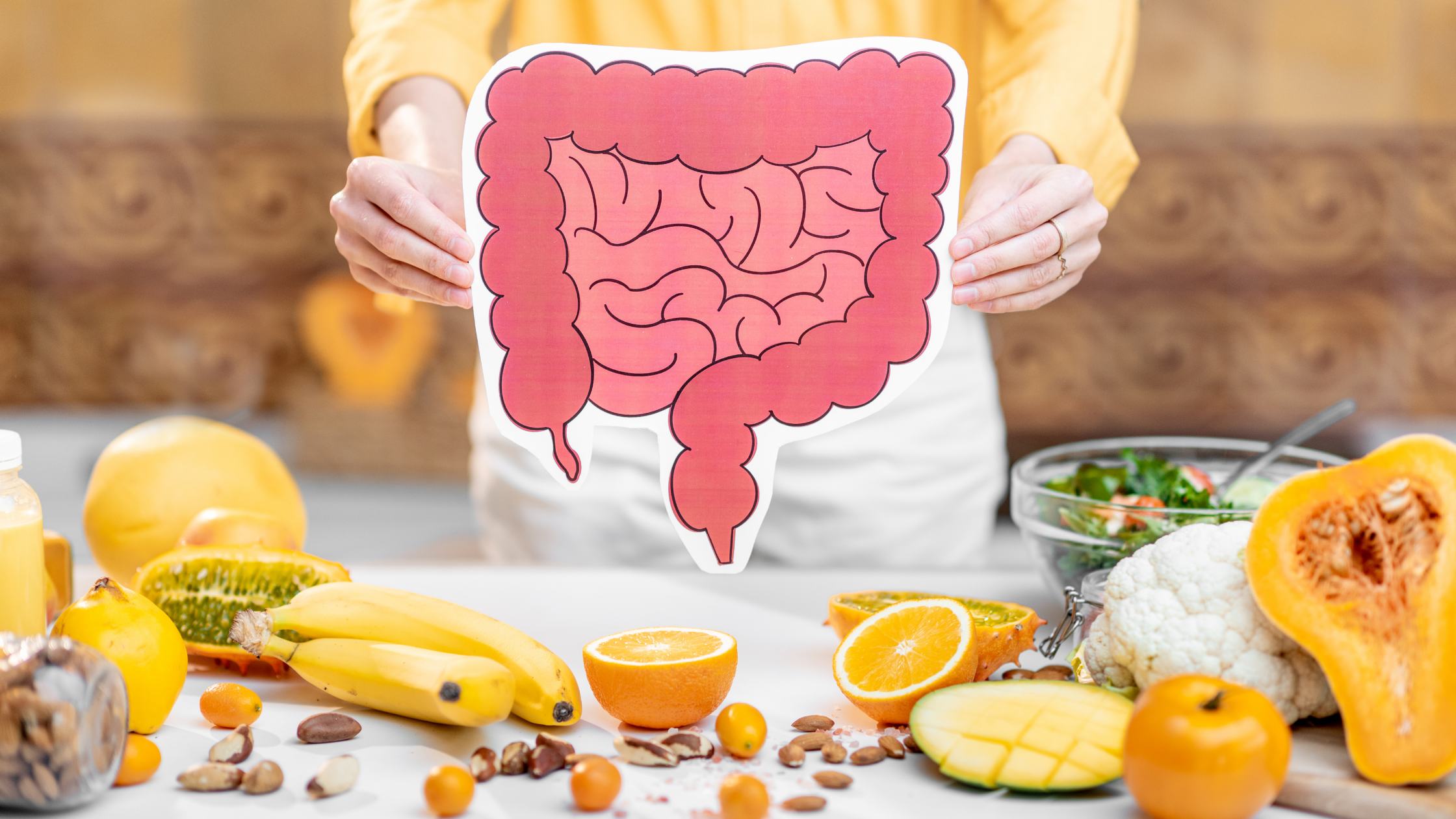 Woman holds a cardboard cutout illustrating the digestive tract over a table with various fruits, vegetables, and nuts