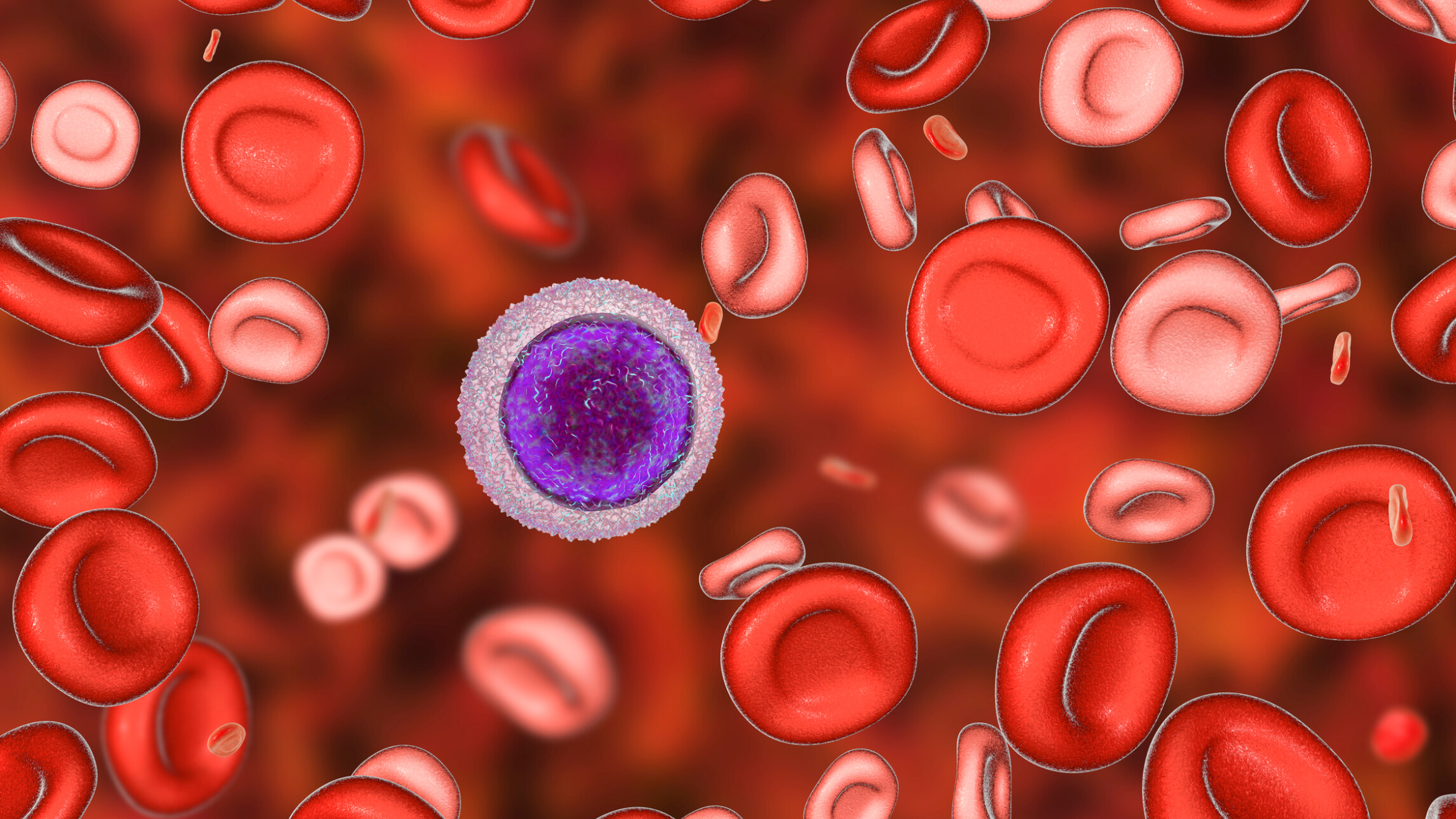 close up of red blood cells