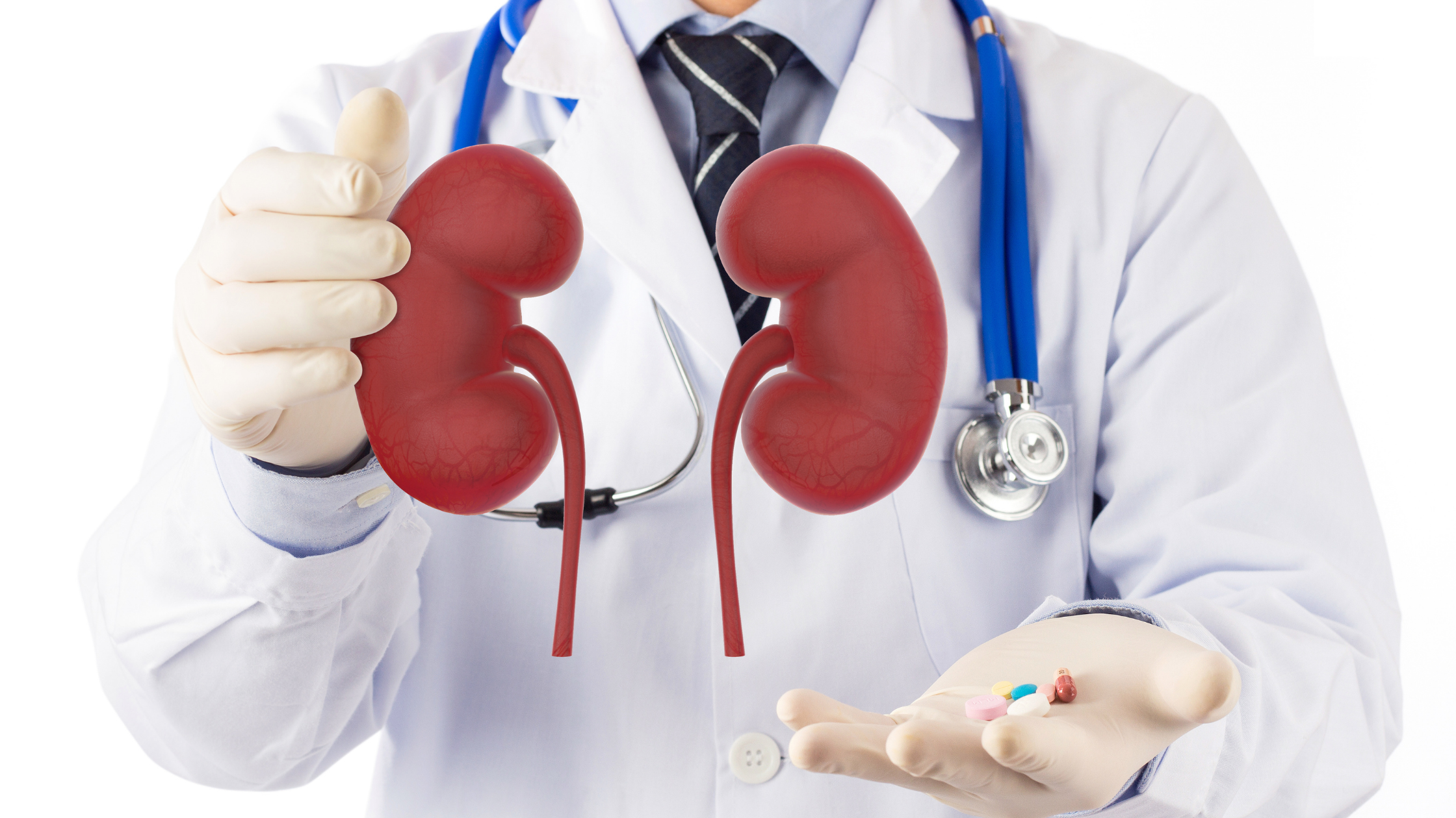 Doctor with illustrated kidneys in one hand, and pills in the other