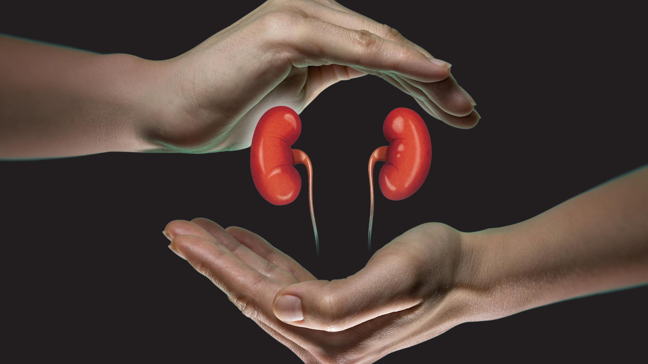 high cholesterol can cause kidney disease