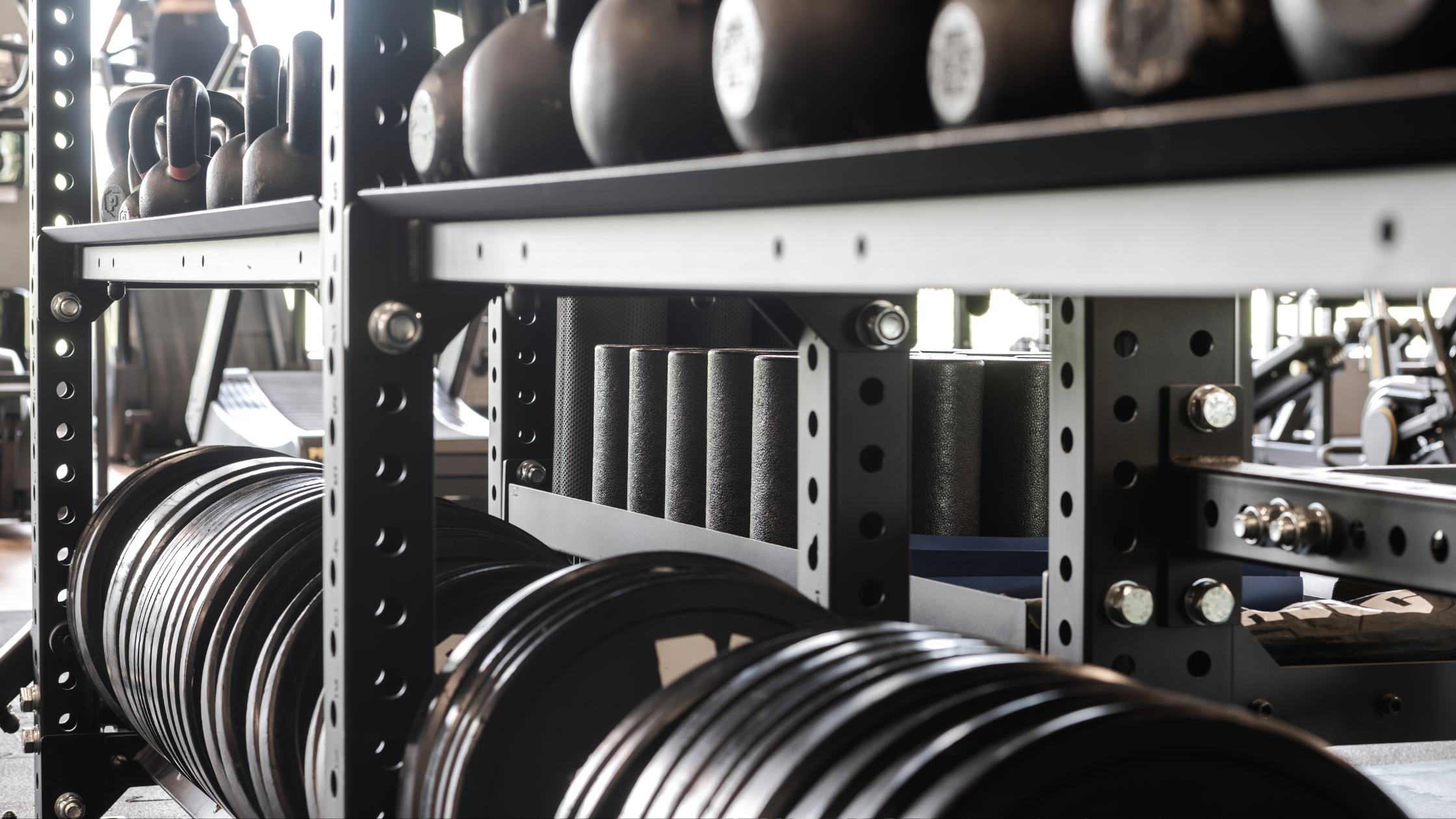 rack of dumbbells and weighted discs