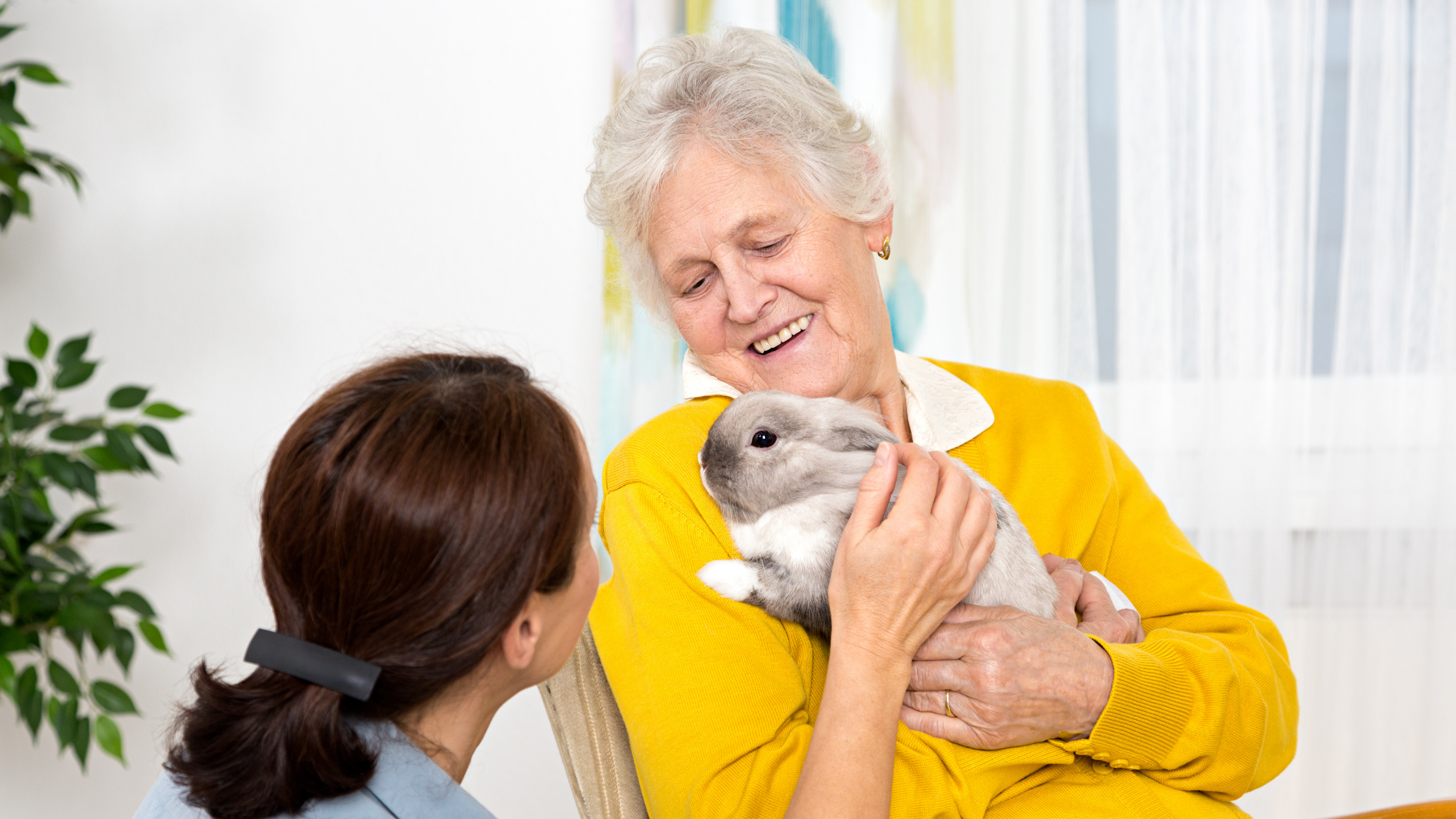 Older woman laughing while holding a bunny 