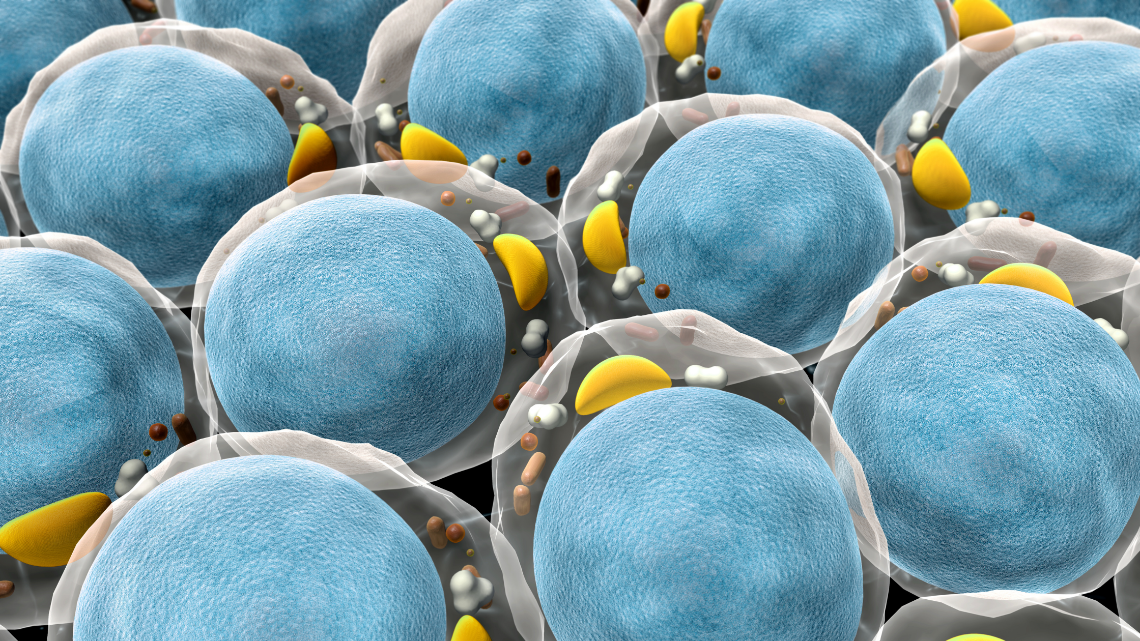 Illustration of magnified cells