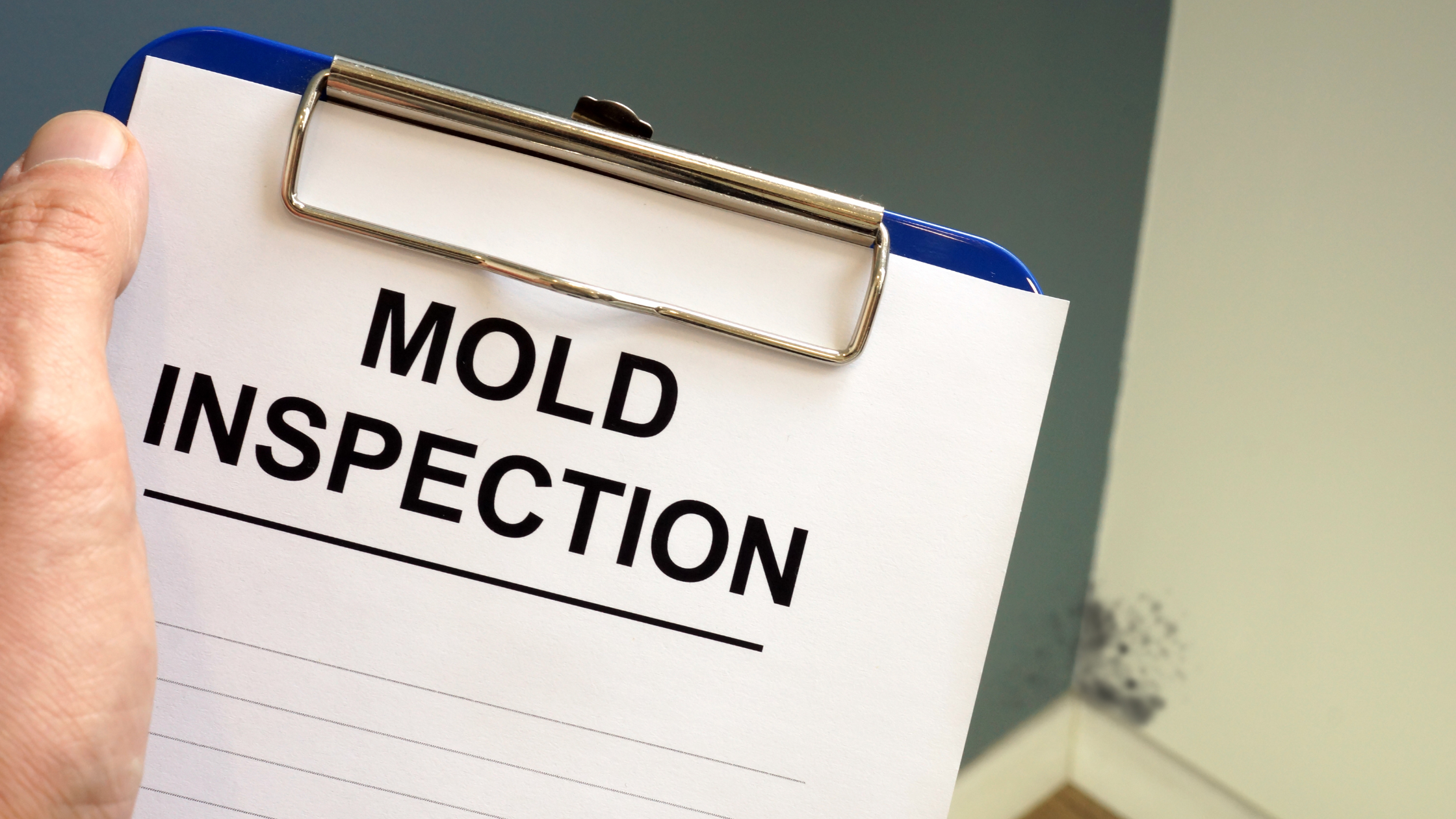 clipboard of paper with "mold inspection" in bold