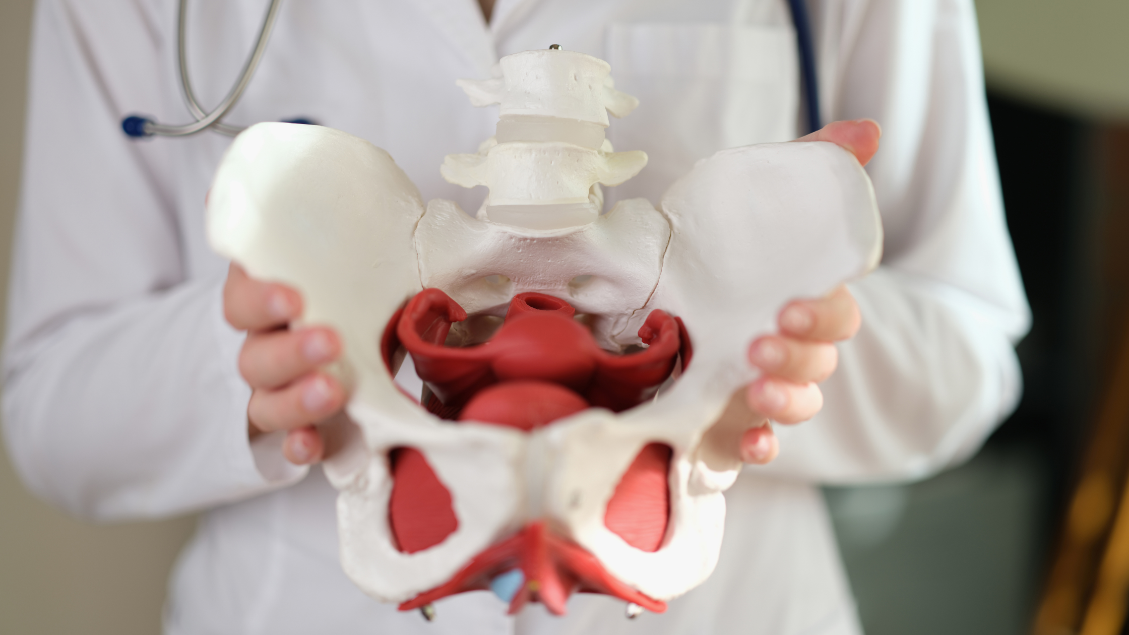 doctor holds a plastic human skeleton by the hips