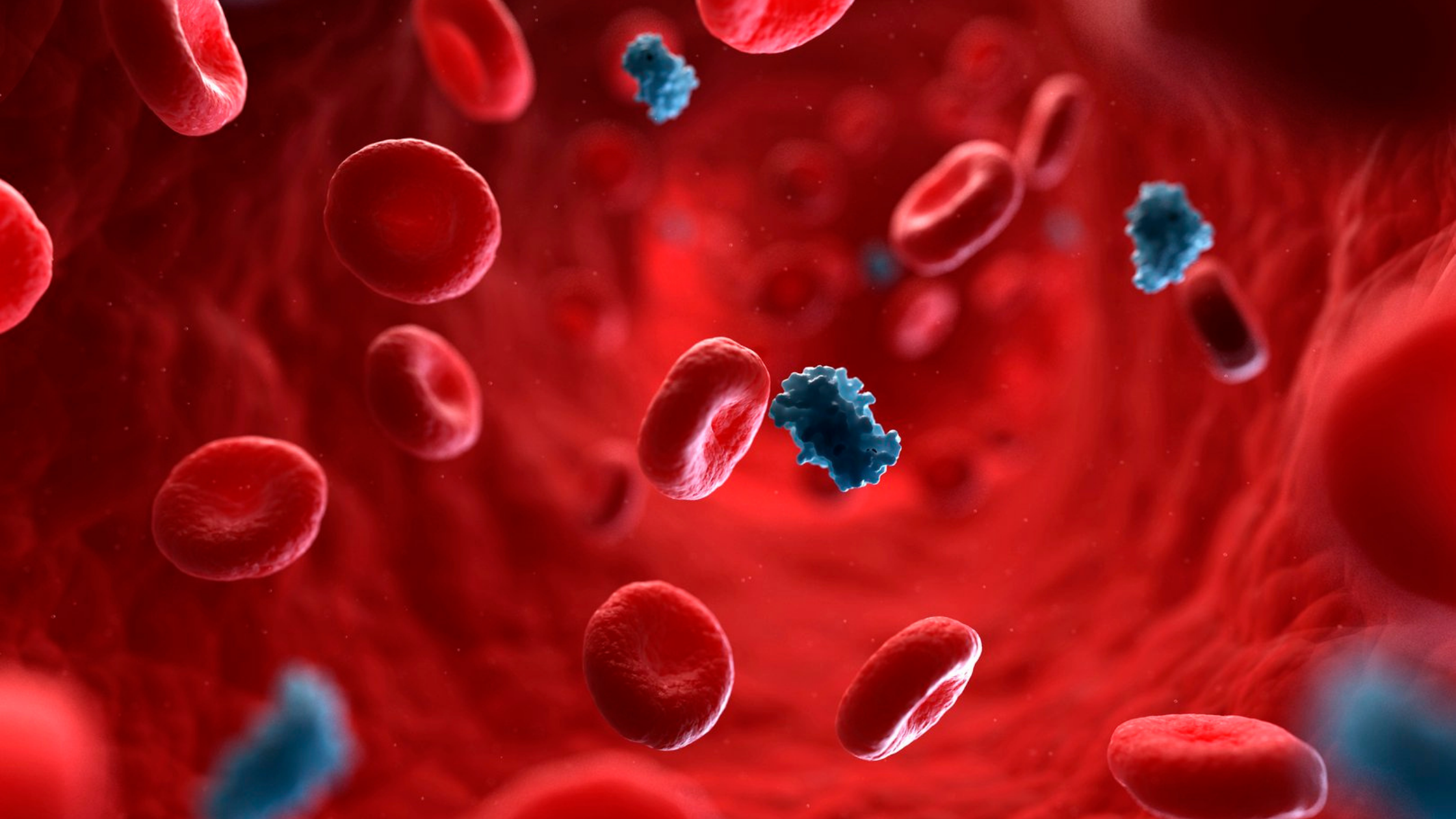 Illustration of red blood cells