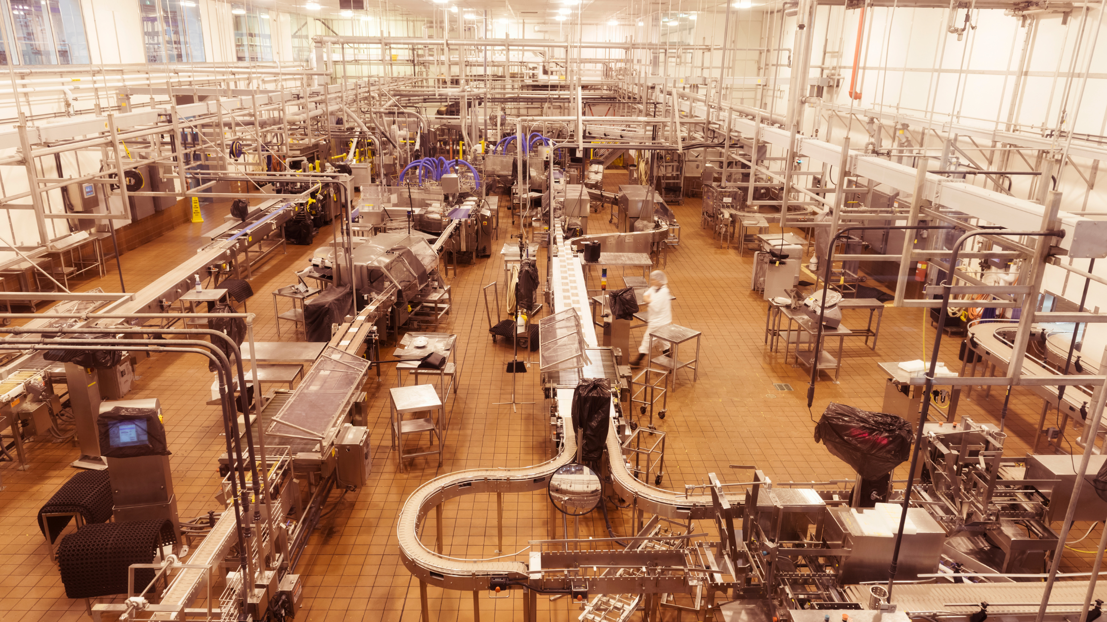 zoomed-out view of the insides of a food processing plant