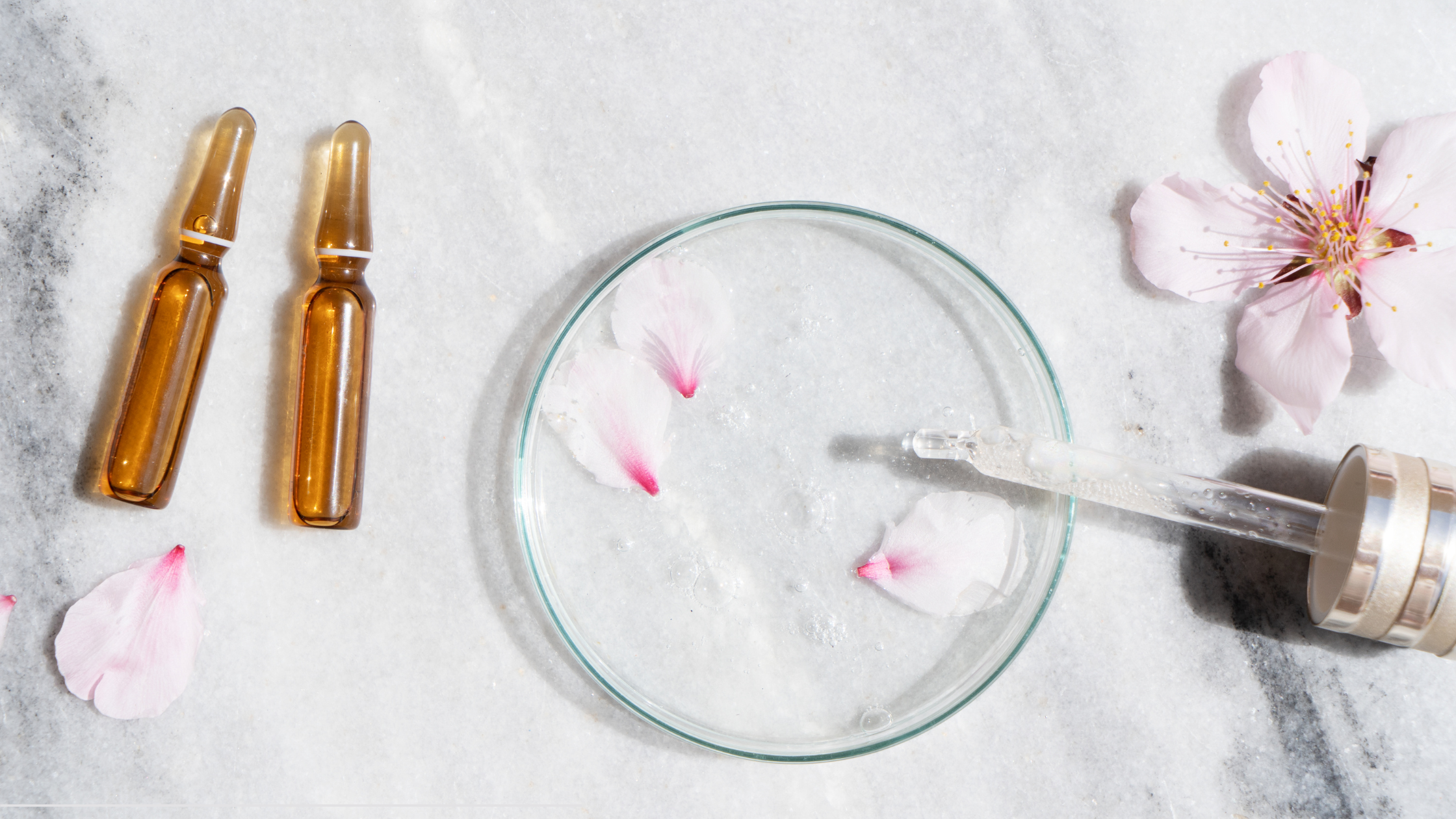 flower petals surround a petri dish with a dropper of clear liquid laying on it