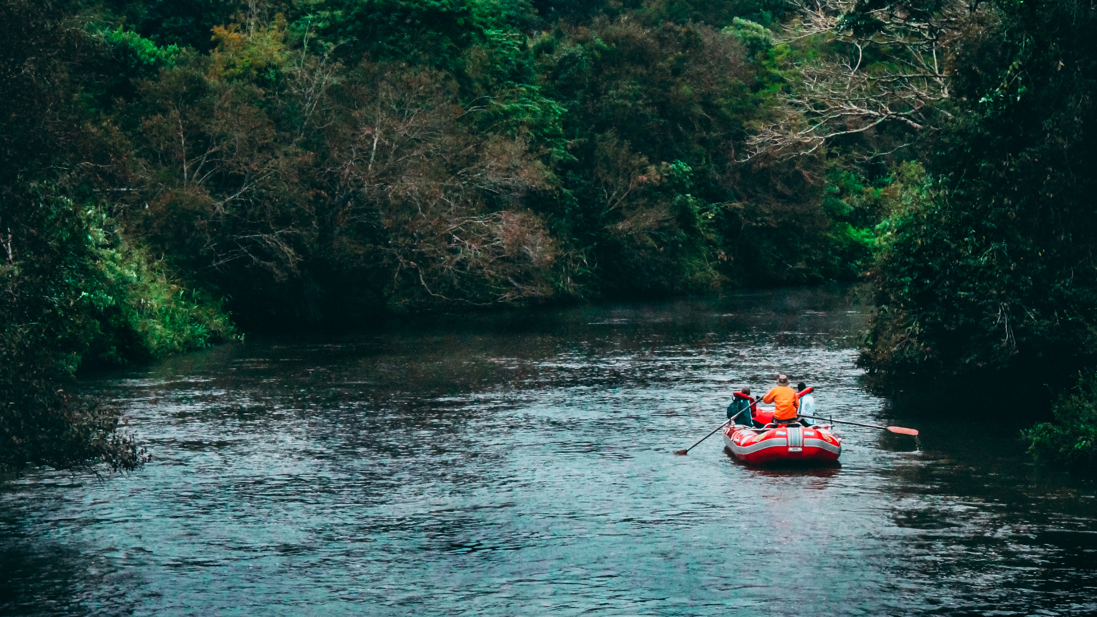 raft full of people floats down a wooded river