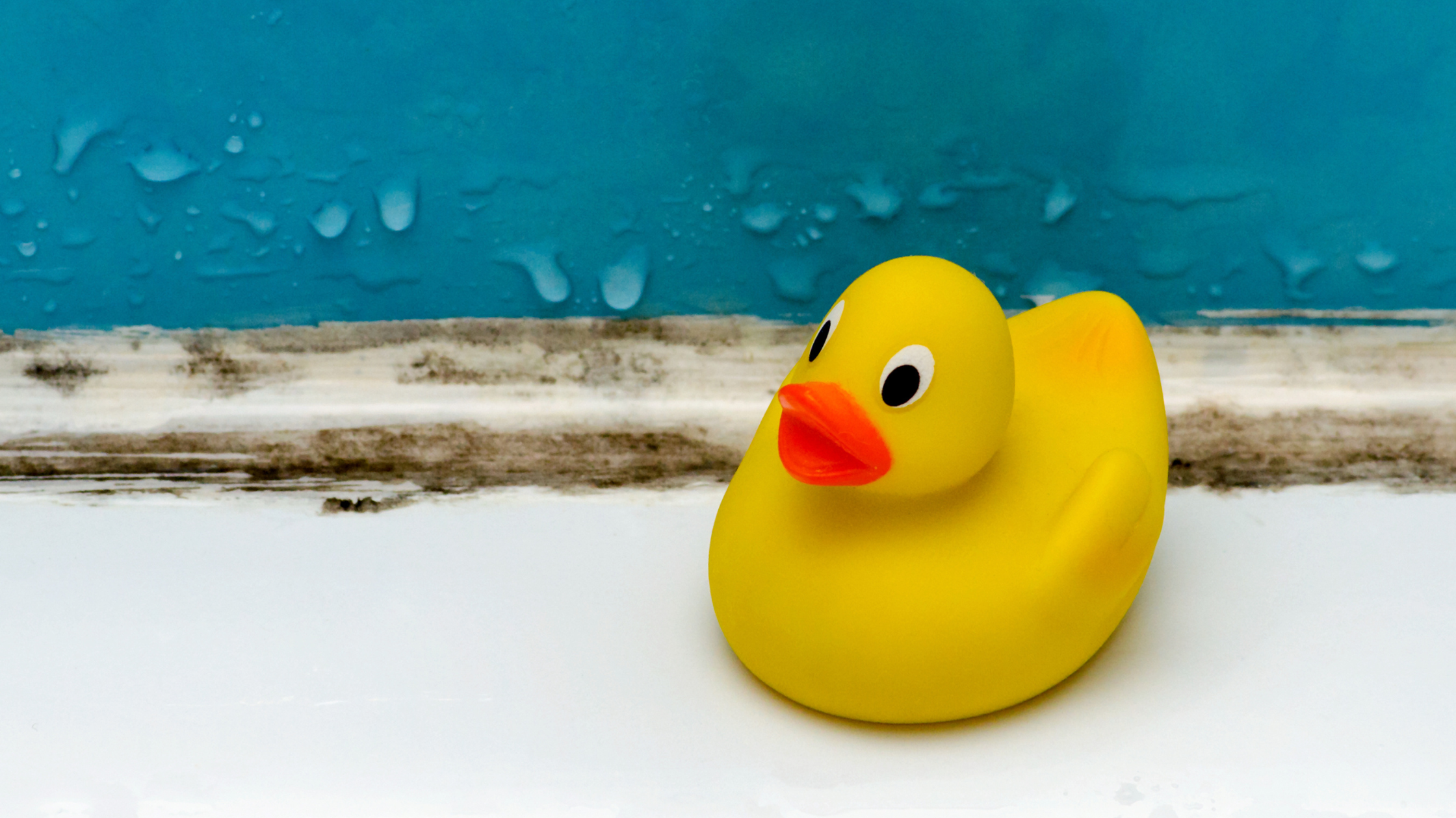 rubber duck on the side of a bathtub with moldy sealant