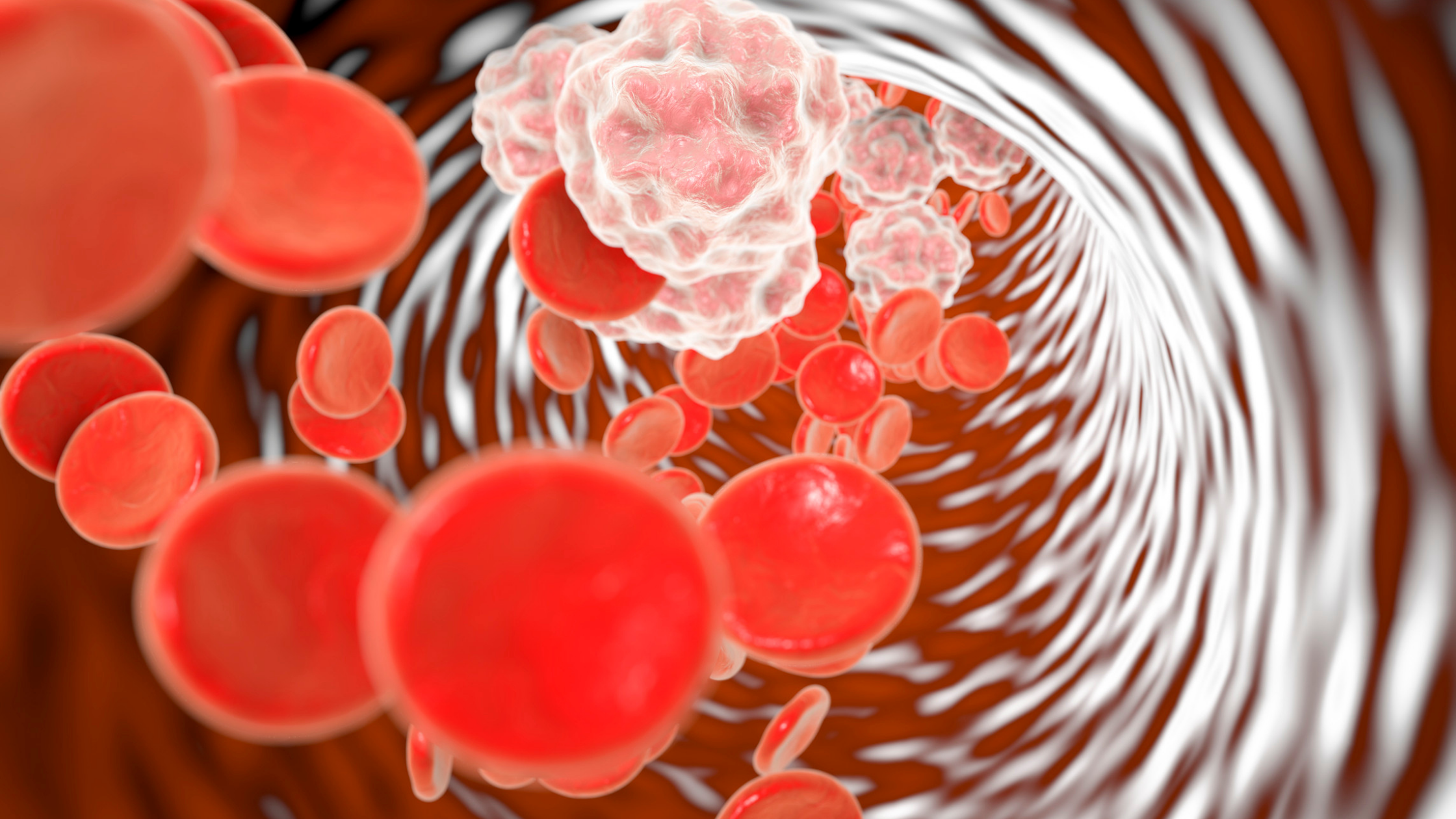 Illustration of red blood cells