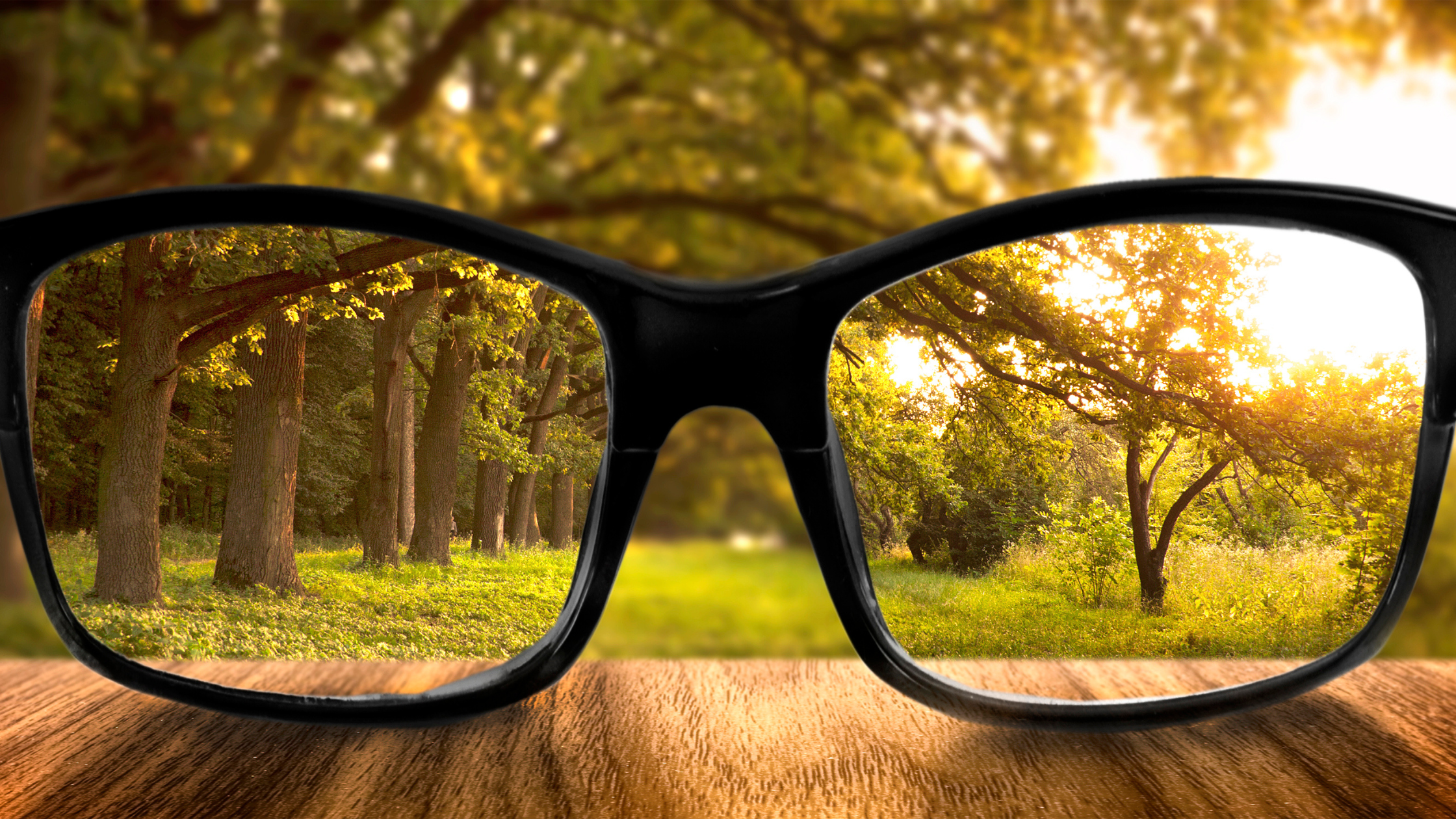 pair of eyeglasses on a wooden table, with trees in focus through the lenses
