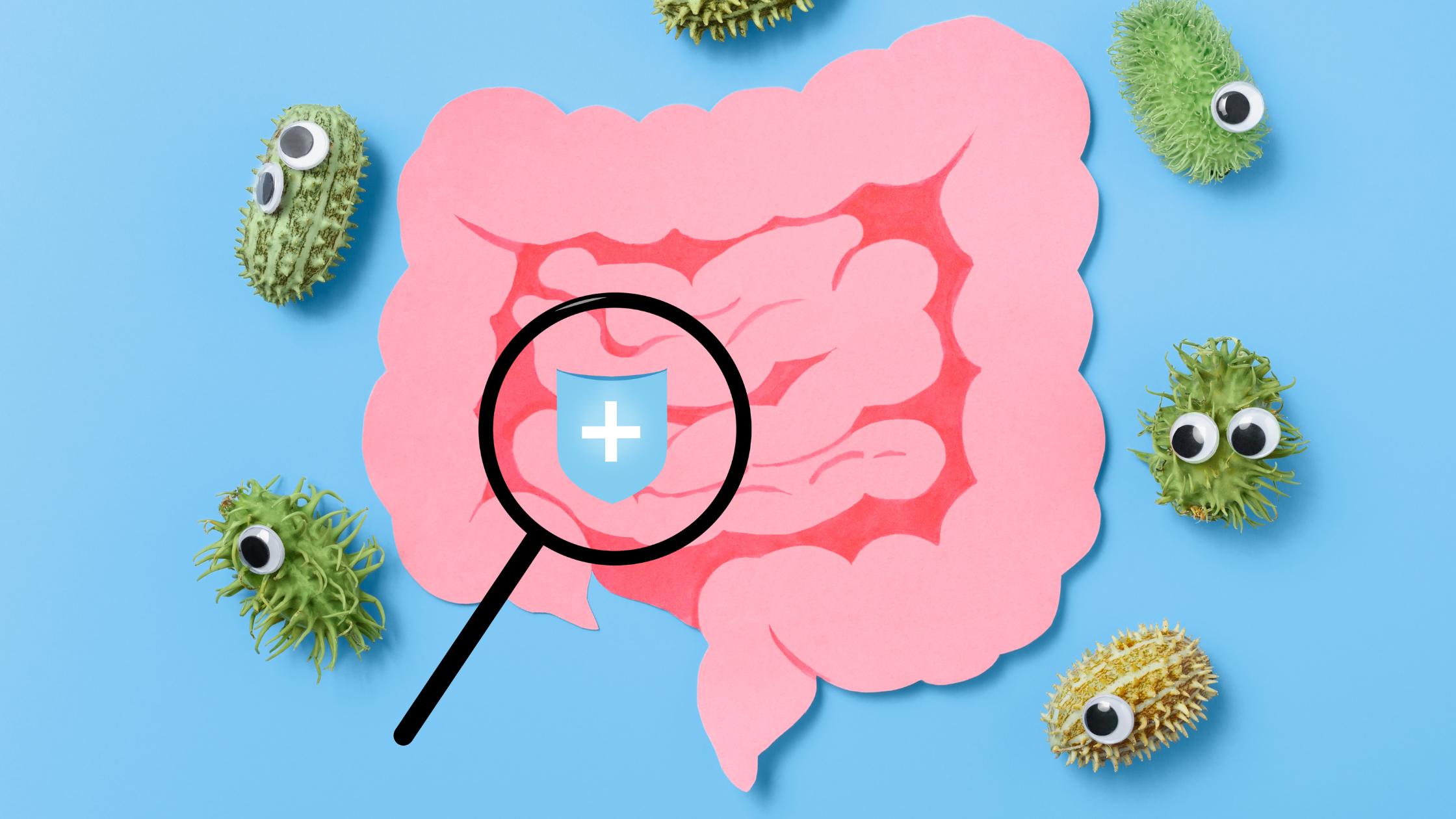 illustration of a gut with a magnifying glass over it